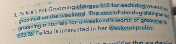 Write an equation that represents the total profits based on the number of dogs groomed-example-1