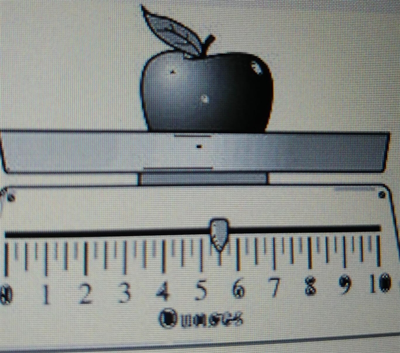 The scale below shows the weight of one apple. If Carly put another apple on the scale-example-1