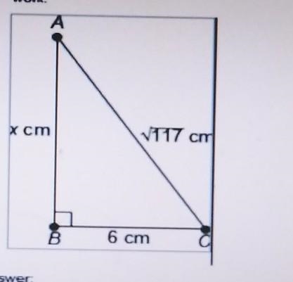 What is the value of x? show all your work​-example-1