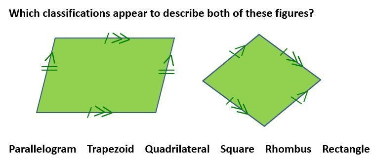 1. Which classifications describe this figure? 2. Which classifications appear to-example-2