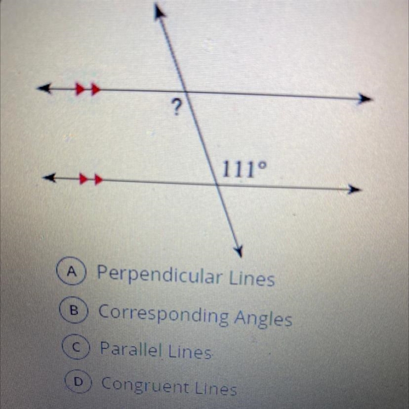 In the following diagram,what do the red arrows on the line mean?-example-1