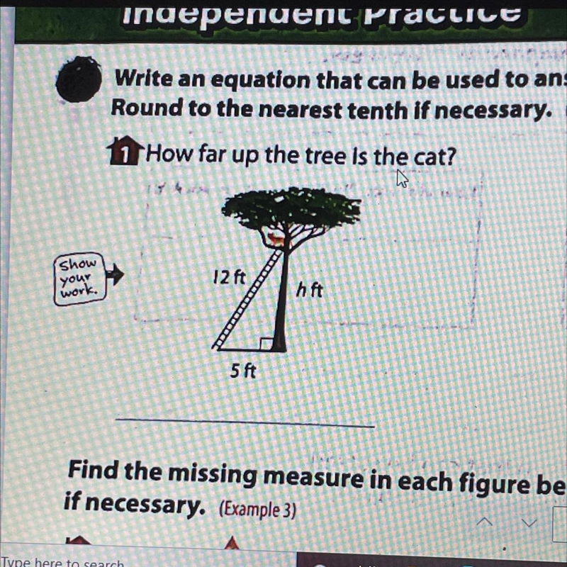 How far up the tree is the cat ?-example-1