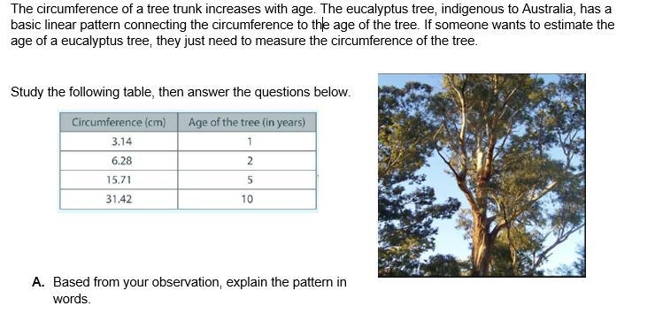 Help help please i did not understand-example-1