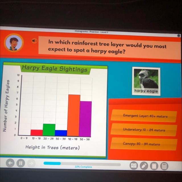 In which rainforest three layer would you most expect to spot a harpy eagle￼-example-1