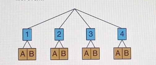 Here is a tree diagram showing the sample independent events how many outcomes are-example-1