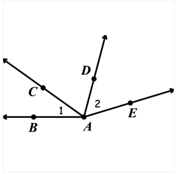 True or False: In the diagram, ∠1 and ∠2 are adjacent angles. Explain your thinking-example-1