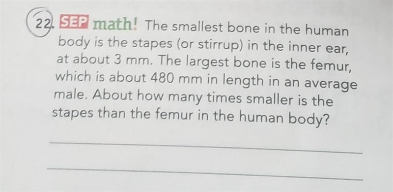 The smallest bone in the human body is the stapes (or stirrup) in the inner ear, at-example-1