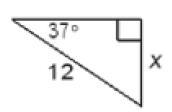 Find the value of x. Round your answer to the nearest tenth. WHO EVER GOES TO MY ASKED-example-1