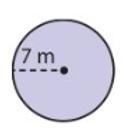 PLZZZ HELP Find the circumference of the circle.-example-1