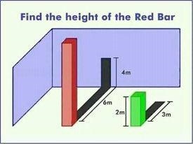 I want to know the exact height of the big column-example-1