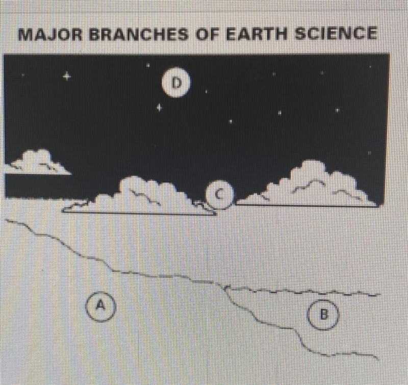 Which of the following types of scientists might study the events that take place-example-1