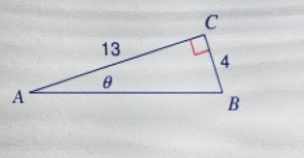 Find the measure of the angle indicated (X). Round to the nearest tenth. Show your-example-1