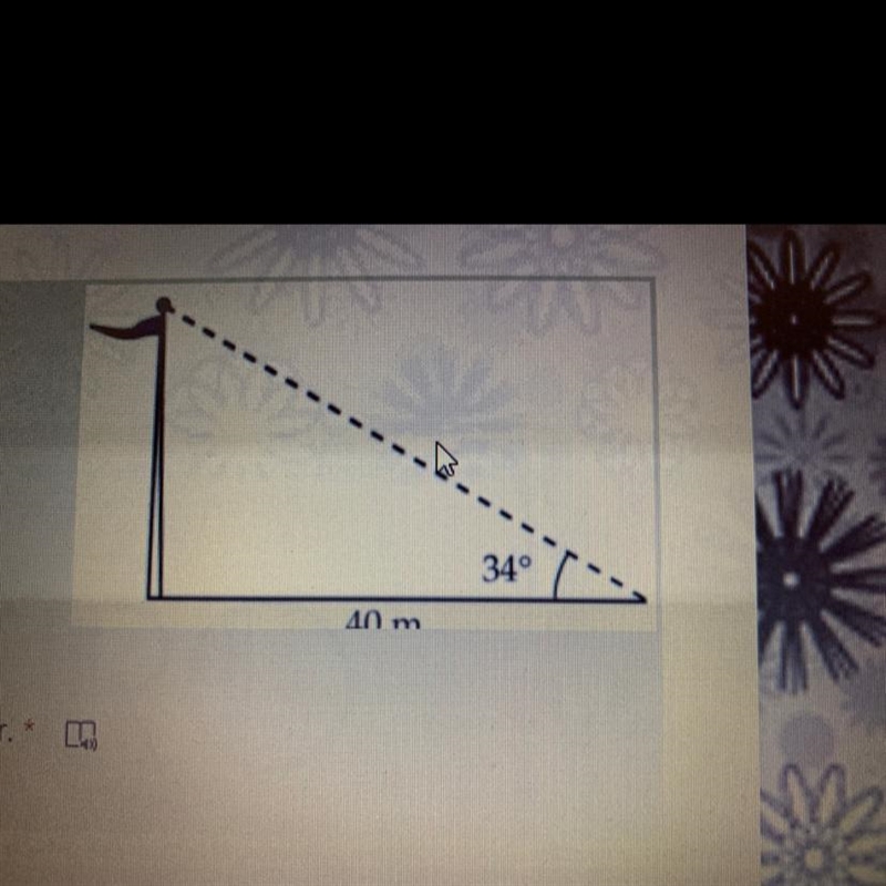 Find the height of the flagpole to the nearest meter. * 40 33 20 27-example-1