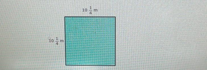 What is the area? Write your answer as a fraction or as a whole or mixed number.​-example-1