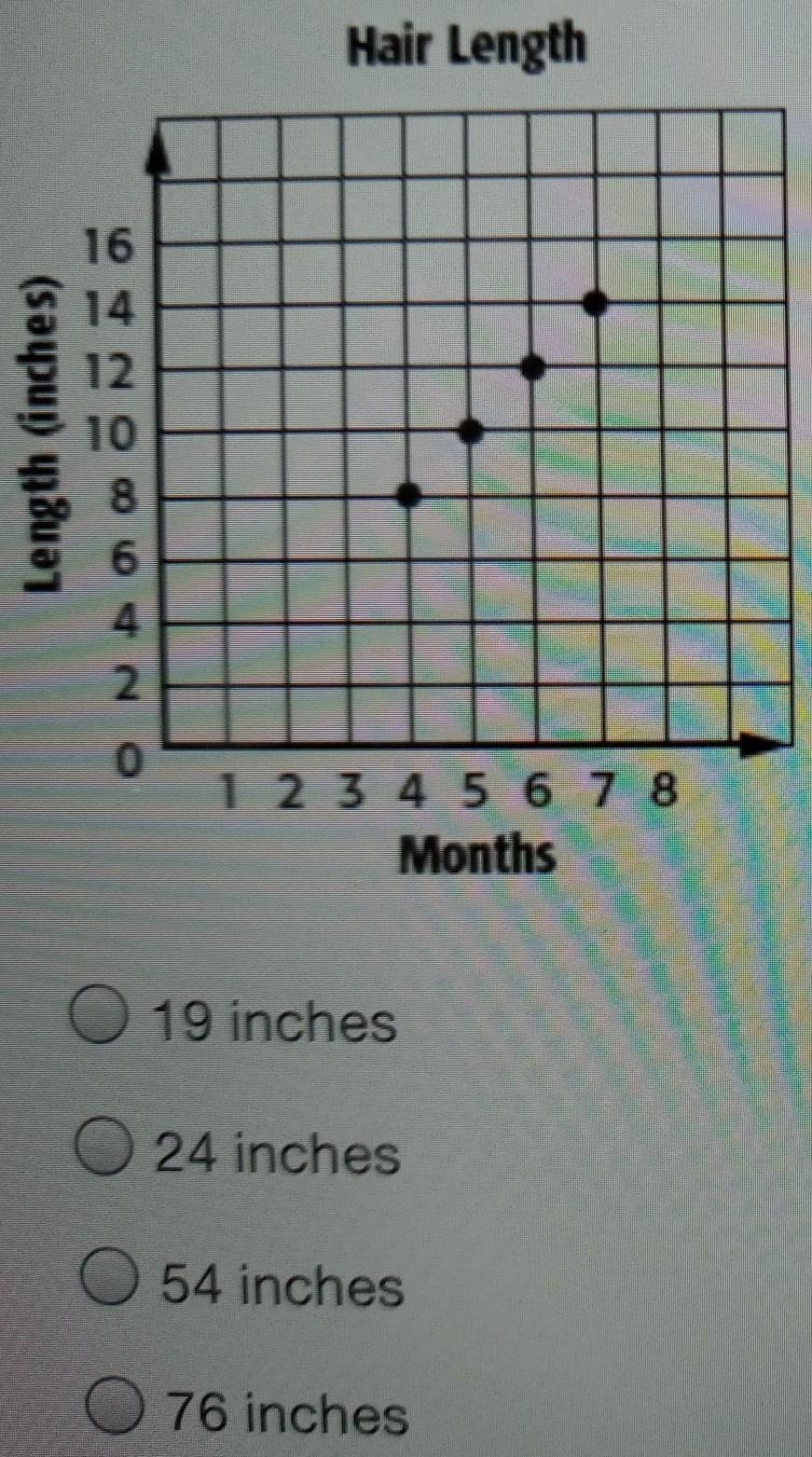 Using the graph, predict how many inches the dog's hair will grow in 38 months?​-example-1