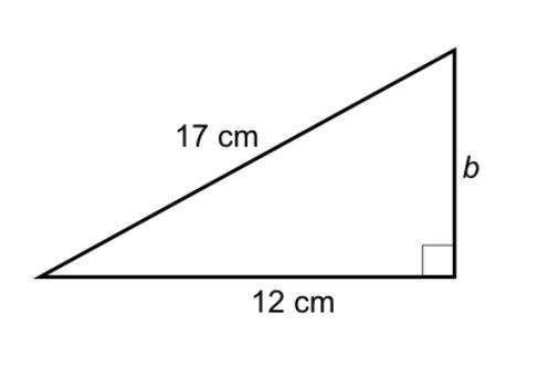 PYTHAGORAS work out the side of b. give your answers to one decimal place-example-1