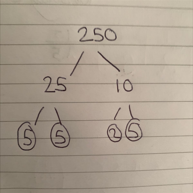 Express 250 as the product of its prime factors. Write the prime factors in ascending-example-1