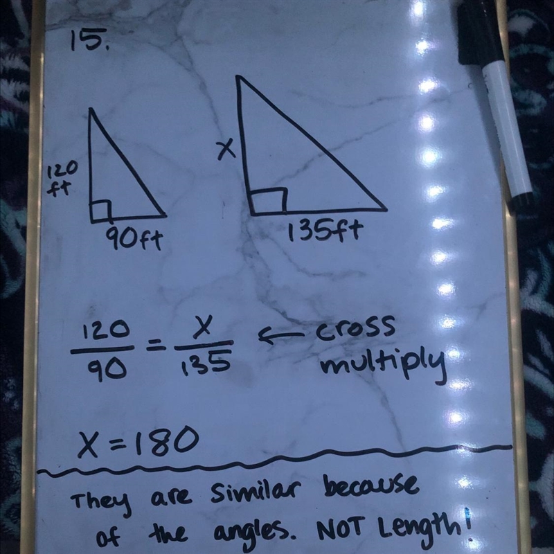 How are the triangles similar??-example-1