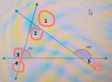 Drag each angle measure to the correct location on the image. Not all angle measures-example-1