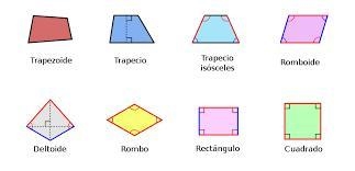 Examples of quadrilateral and it's features​-example-1