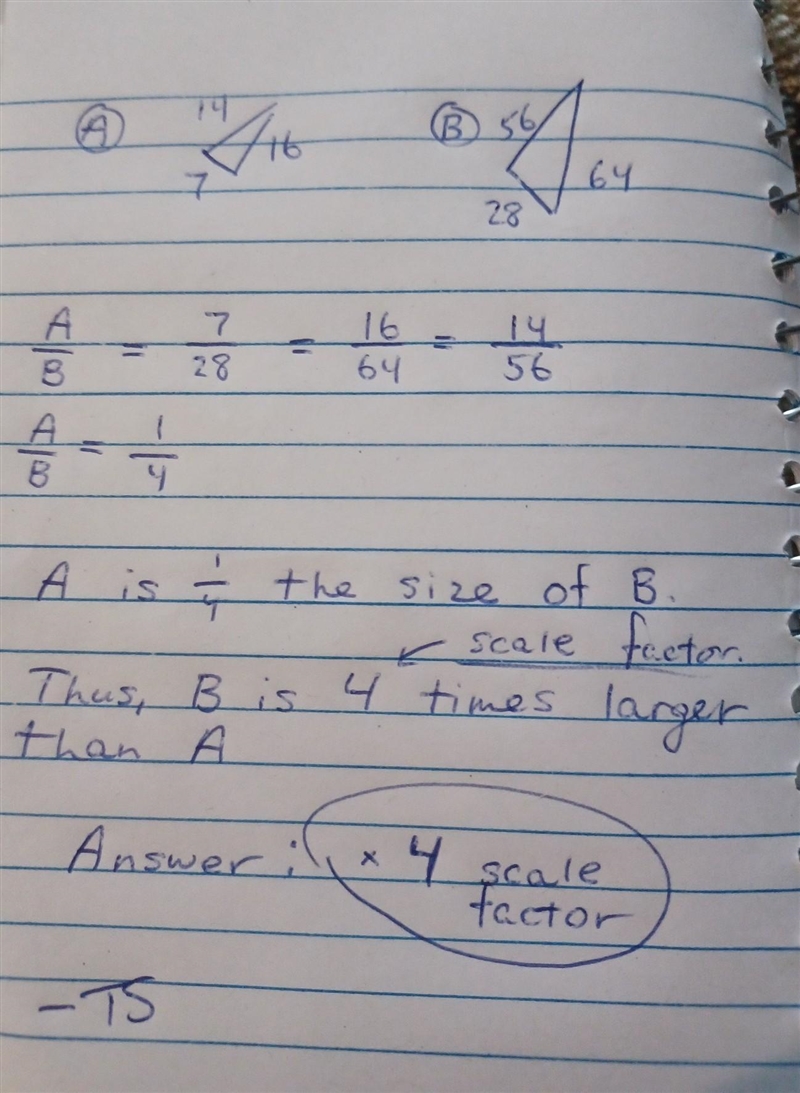 Help please i need help on this-example-1