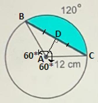 Find the area of the shaded segment of the circle. (Round to the nearest tenth as-example-1