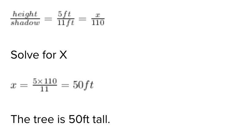 A person who is 5 feet tall standing 120 feet from the base of a tree, and the tree-example-1