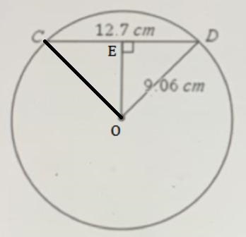 Find the measure of CD. Round to the nearest tenth. mCD=[?]degrees-example-1