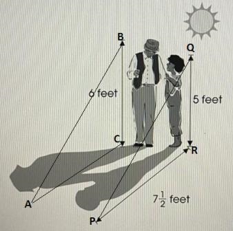 This is about similar polygons in geometry-example-1