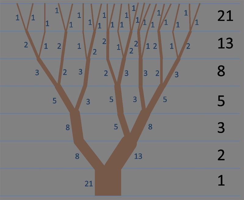 Show me an example of fibonacci sequence-example-3