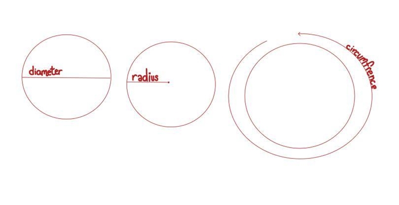 A sphere has a radius of 5. What is its diameter?-example-1