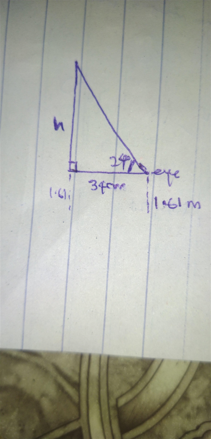 From her eye, which stands 1,61 meters above the ground, Savannah measures the angle-example-1