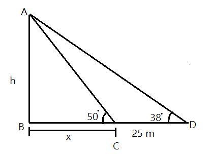 Chidi measured the angle of elevation of a tree and found it was 38°. He then valked-example-1