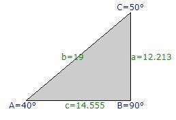 Find the missing side. Round to the nearest tenth. 19 40° [ ?-example-1