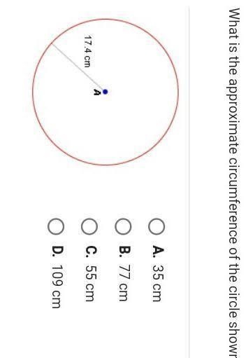 What is the approximate circumference of the circle shown below? O A. 55 cm B. 109 cm-example-1