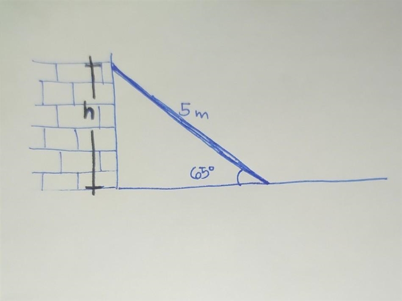 A ladder 5 m long, leaning against a vertical wall makes an angle of 65° with the-example-1