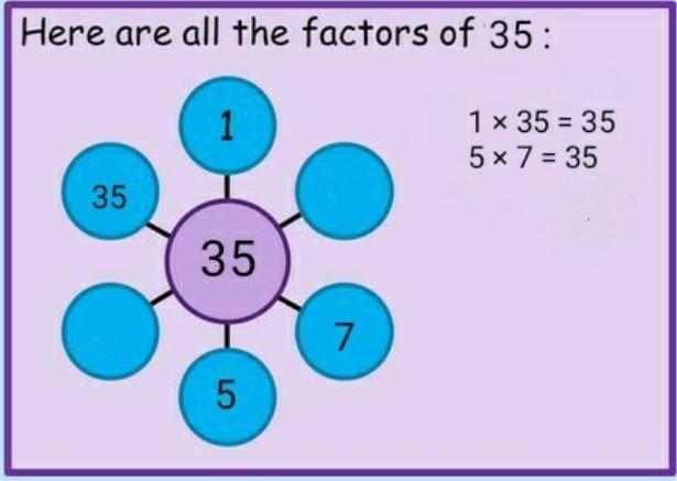 List factors of 35? Is it prime or composite?-example-1