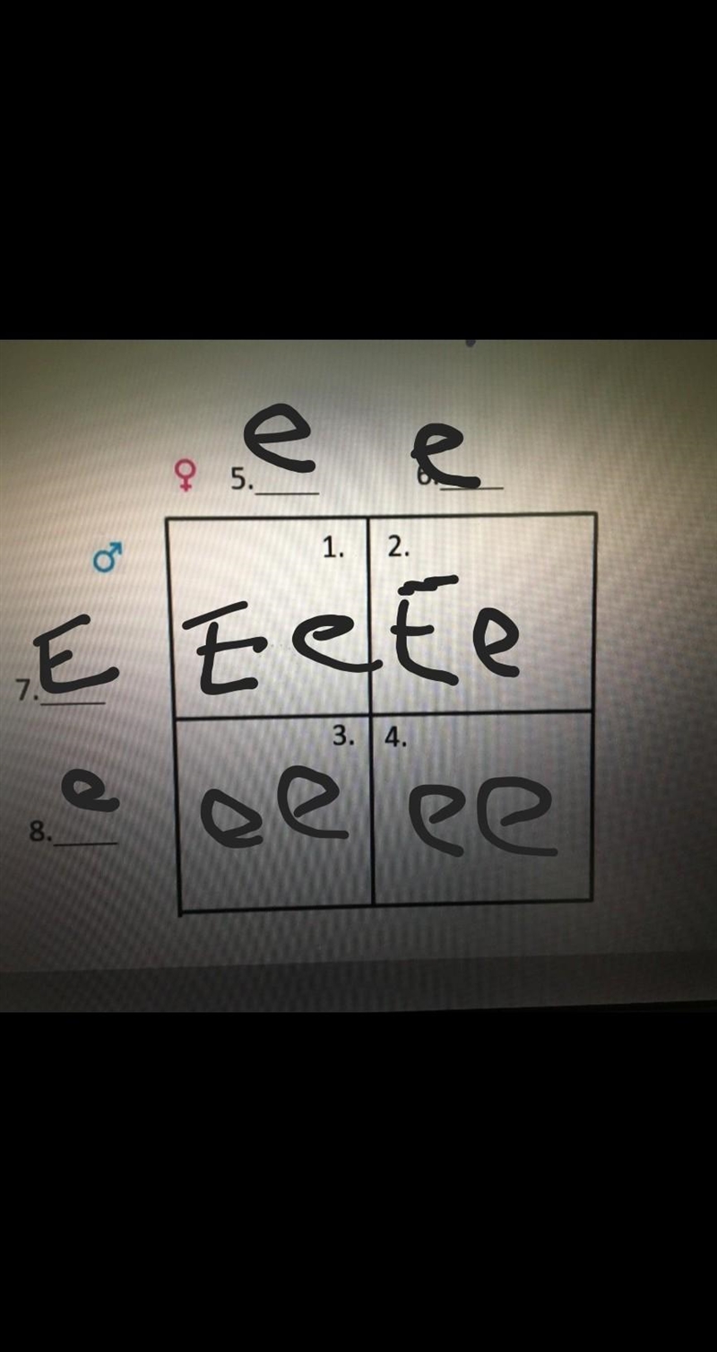 Help fill in the Punnett square-example-1