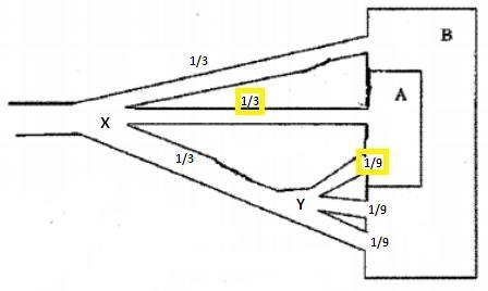 Boris the rat is trying to find food in the maze shown below. Boris is equally likely-example-1