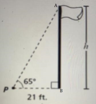 Question 7 (1 point) The angle of elevation from point P to the top of the pole is-example-1