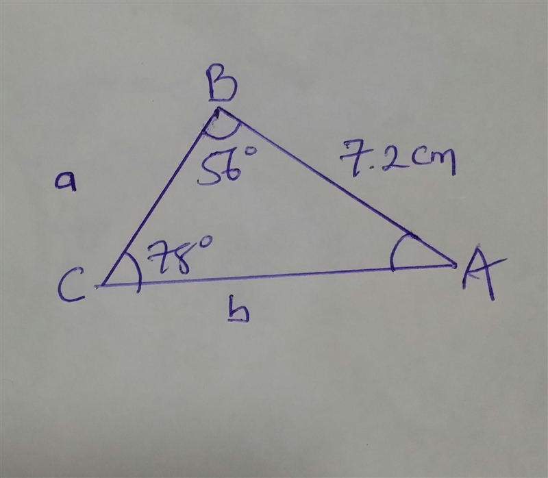 Find the area of the triangle to the nearest tenth . Pleaseeee help-example-1