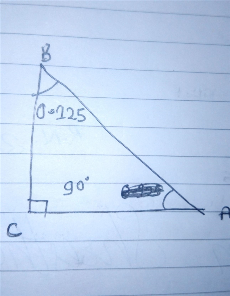 Let AABC be a right triangle with mzC = 90°. Given tan 2B = 0.125, find tan 2A. tan-example-1