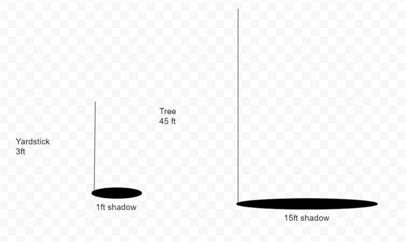 In sunlight, a vertical yardstick casts a 1 ft shadow at the same time that a nearby-example-1