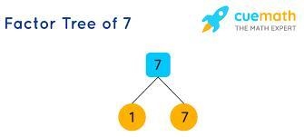 What is the prime factorization of 7-example-1