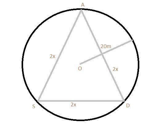 A circular park of radius 20m is situated in a colony. Three boys Ankur, Syed and-example-1