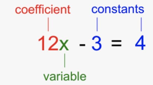 Identify each part of the algebraic expression as the Coefficient, Constant, or Variable-example-1