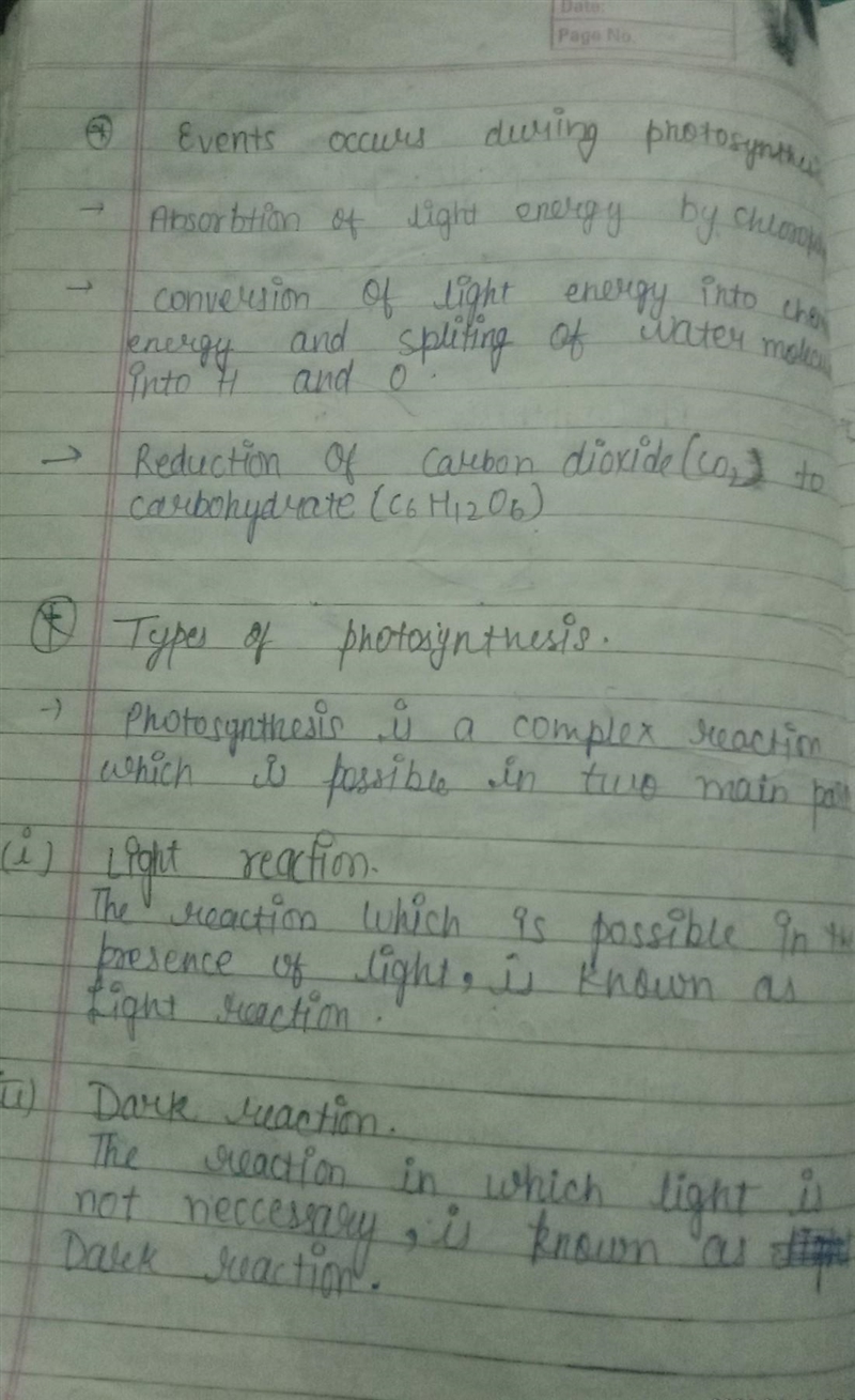 What is photosynthesis​-example-2