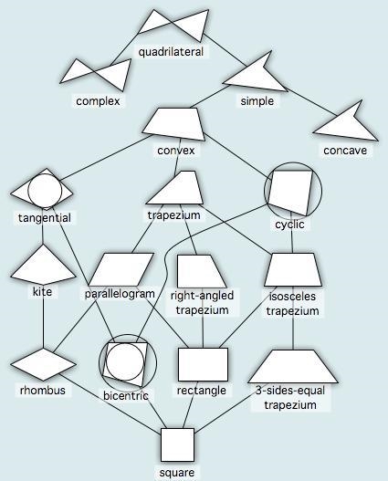 Fill in the hierarchy diagram for the following two-dimensional figures: quadrilaterals-example-2