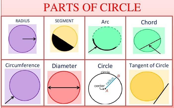 38. Draw a circle with radius 5 cm and show the following parts - i) Diameter ii) Circumference-example-1