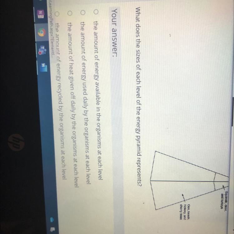 What is the answer please help no links I will report-example-1